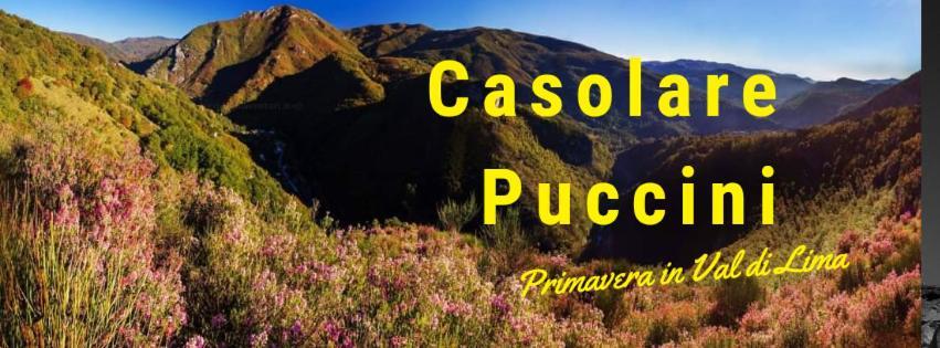 Casolare Puccini Apartment Bagni di Lucca Luaran gambar